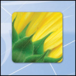 bannerTAI Thm Portfolio
