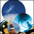 partoftheteam banner Thm Portfolio